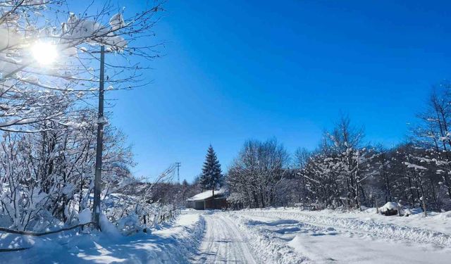 Yüksek kesimlerinde kar manzarası