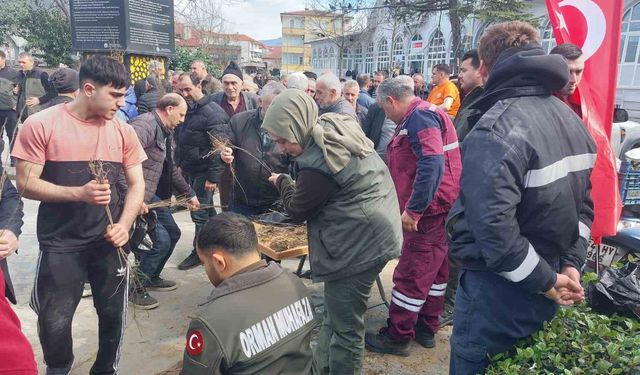 Dağıtılan 2 bin meyve fidesi toprakta hayat bulacak