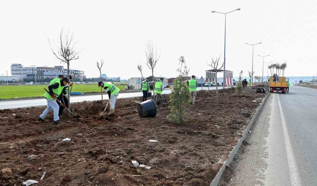 Diyarbakır'da üstyapı çalışmaları