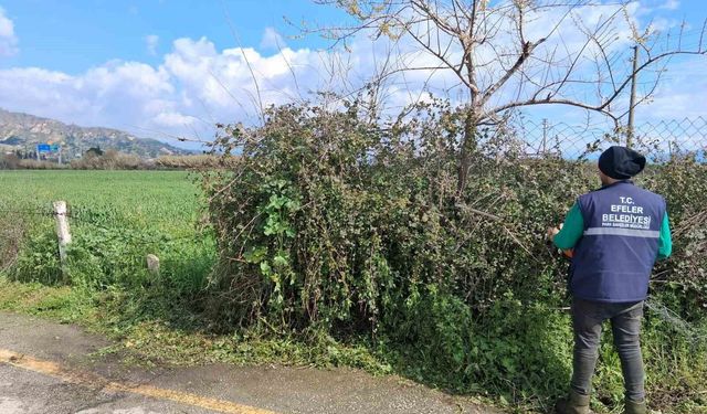 Efeler'in yeşil alanlarında temizlik çalışması sürüyor