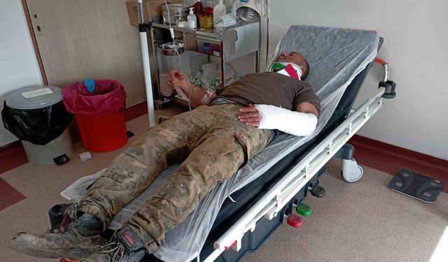 Otomobiliyle tarlaya düşen sürücü yaralandı