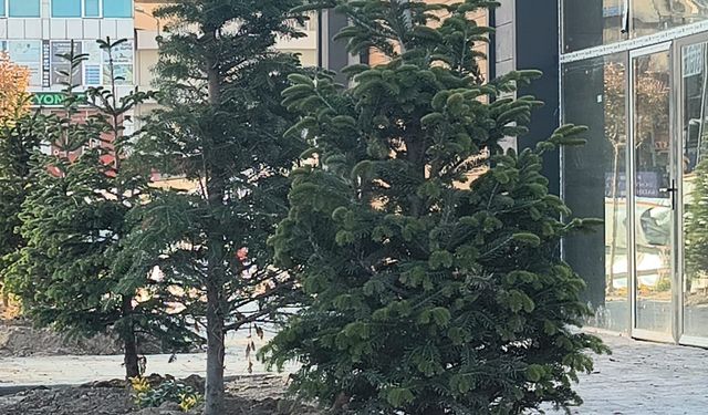 HAYDAR ALİYEV PARKI’NDA GERİ SAYIM