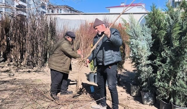 Iğdır’da Toprakla Buluşma Zamanı: Fidan Satışları Başladı!