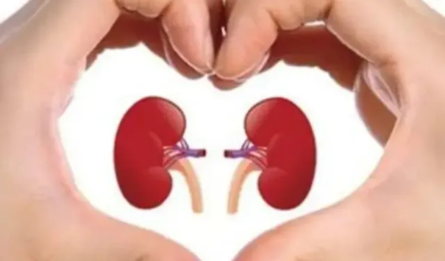 IĞDIR’DA DÜNYA BÖBREK GÜNÜ: “SAĞLIKLI ÇEVRE, SAĞLIKLI BÖBREKLER”