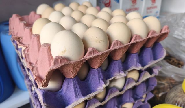 IĞDIR’DA NEVRUZ BEREKETİ: YUMURTA SATIŞLARI ZİRVEYE ÇIKTI