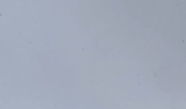 Iğdır’ın Aralık ilçesine bağlı Yenidoğan Köyü, mart ayında etkili olan kar yağışıyla beyaza büründü.