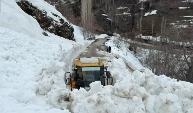 Bahçesaray'da yola çığ düştü