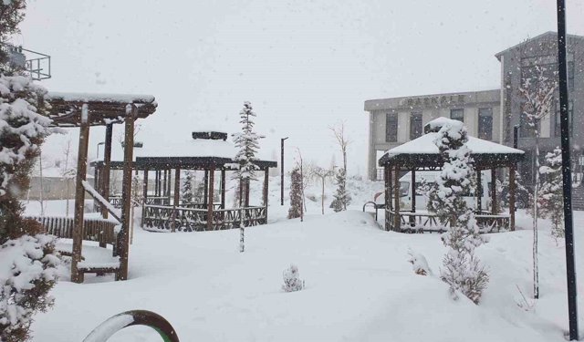 Başkale'de kar yağışı