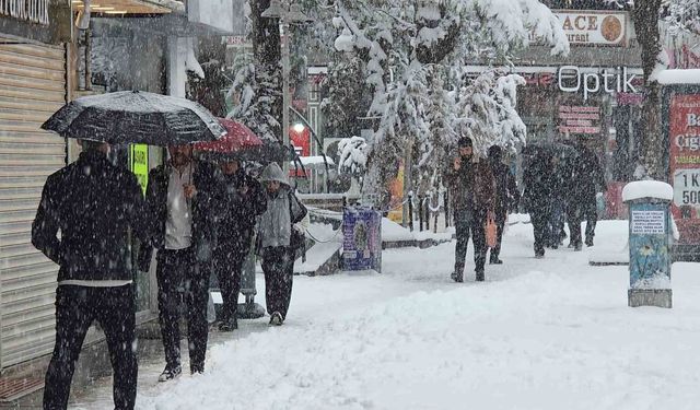 Van'da Mart sürprizi: Bahar beklerken kar kapıya dayandı