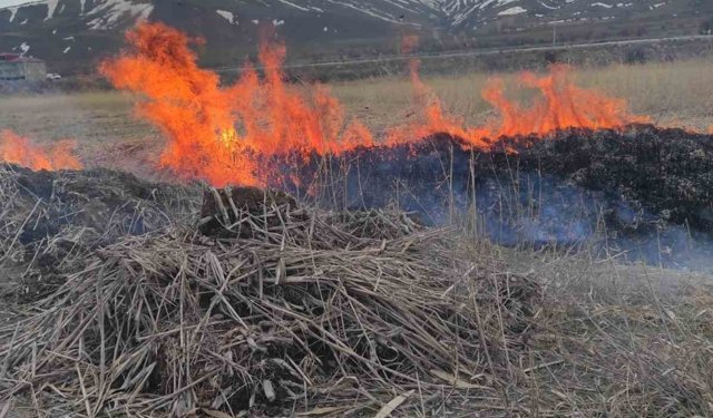 Van'ın Gevaş ilçesinde anız yangını