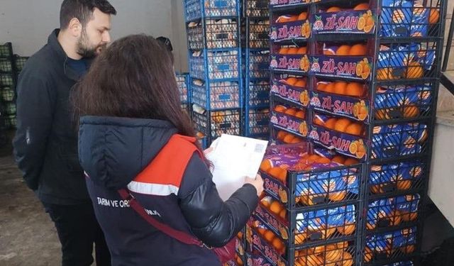 Iğdır’da Toptancı Hallerinde Sıkı Takip: Pestisit Denetimi Yapıldı