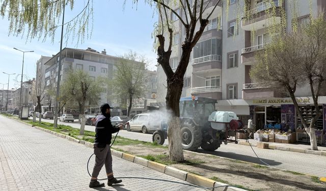 Iğdır’da Ağaçlar Hastalıklara Karşı İlaçlanıyor