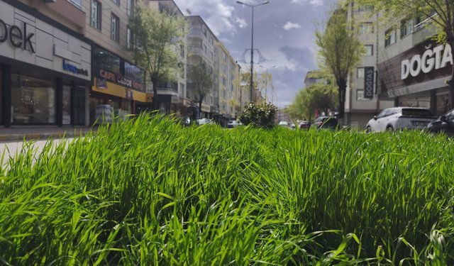 BAHAR YAĞMURLARI IĞDIR’I CANLANDIRDI!