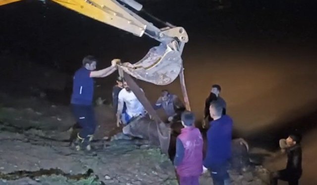 Dicle Nehri'ne düşen ineği itfaiye iş makinesiyle kurtardı