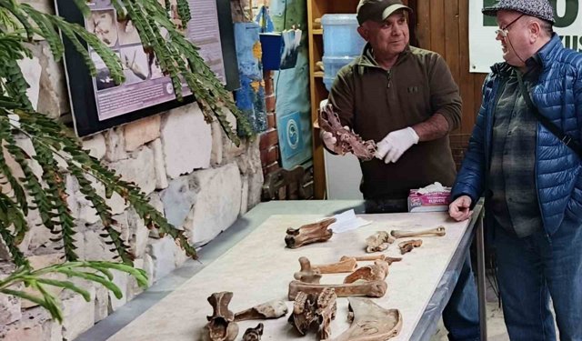 Fırtına sonrası ortaya çıkan kemikler incelendi