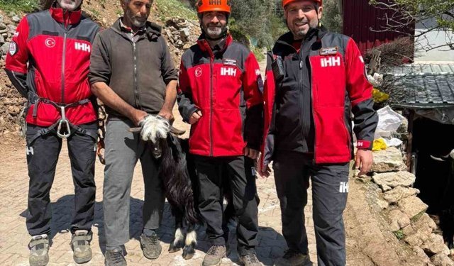 Mahsur kalan 2 keçi, 100 metrelik sarp araziden kurtarıldı