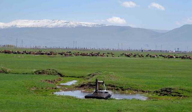 Tarımda önder üretici modeli vurgusu