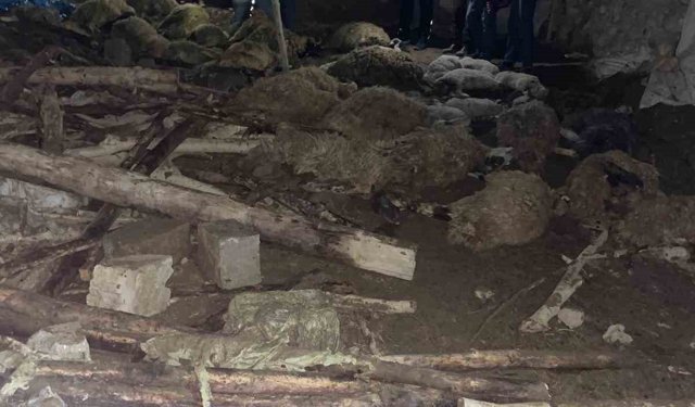 Van'da ahır çöktü: 56 küçükbaş hayvan telef oldu