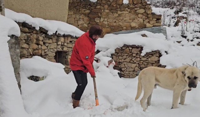 Yüksek kesimlere kar yağdı