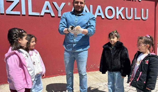 Anaokulunun misafiri 'Fındık' 6 yavru dünyaya getirdi
