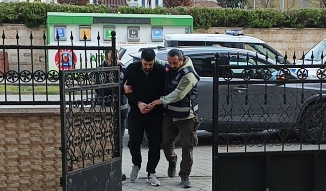 Cinayetin azmettiricisi ve kardeşi tutuklandı