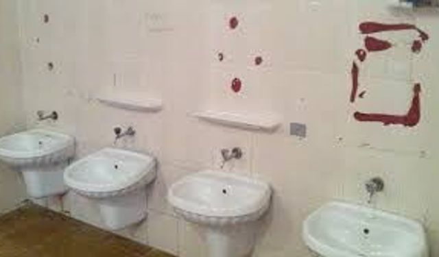 3 ADET OKUL WC BAKIM ONARIM İŞİ