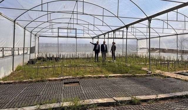 Iğdır Belediyesi Kendi Çiçeklerini Üretiyor