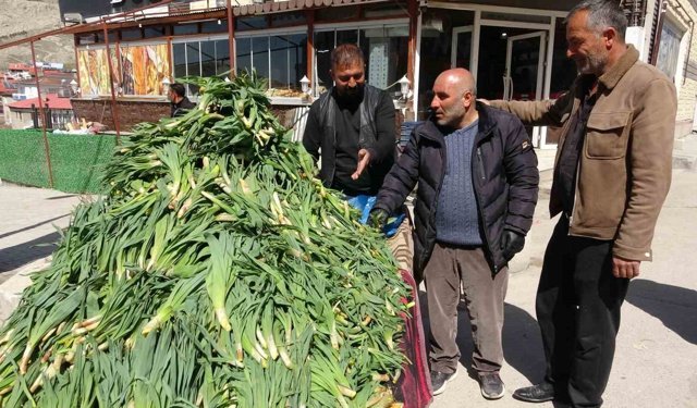 Şifa kaynağı çiriş otu' tezgahlardaki yerini aldı