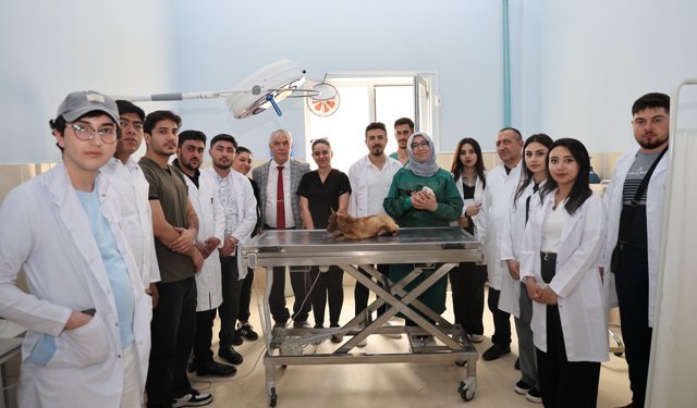 Iğdır Üniversitesi, Nahçıvan'ın Veteriner Adaylarını Ağırladı