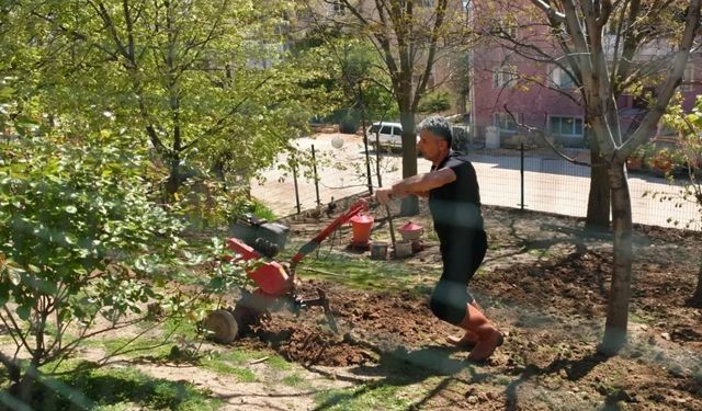 Bilecik Huzurevi'nde yeşil alanlar yeniden hayat buluyor
