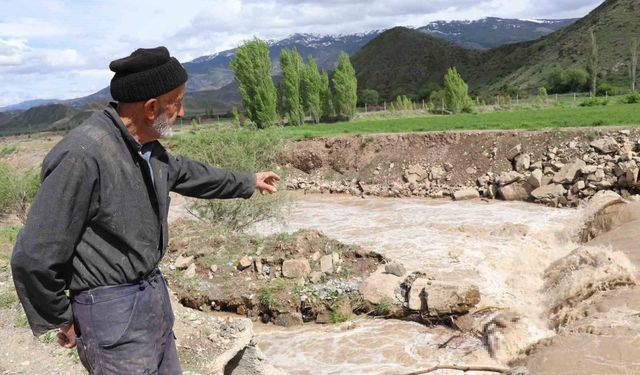 Erzurum'da boz ayı Oltu Çayı'nda telef oldu