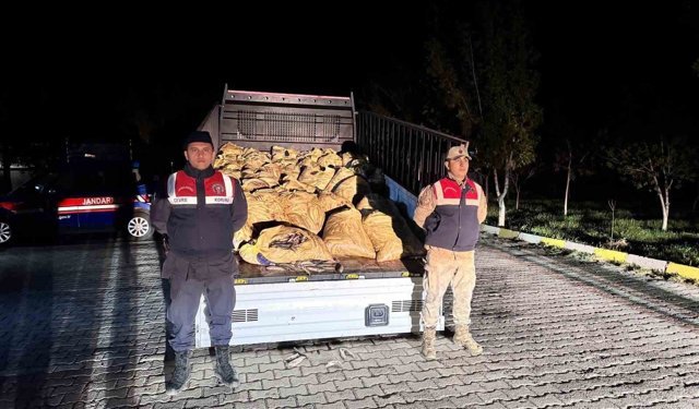 Kaçak avlanan 800 kilo balık ele geçirildi