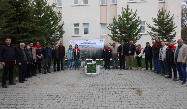 Kars'ta sebze üretimine destek: Binlerce fide üreticiyle buluştu