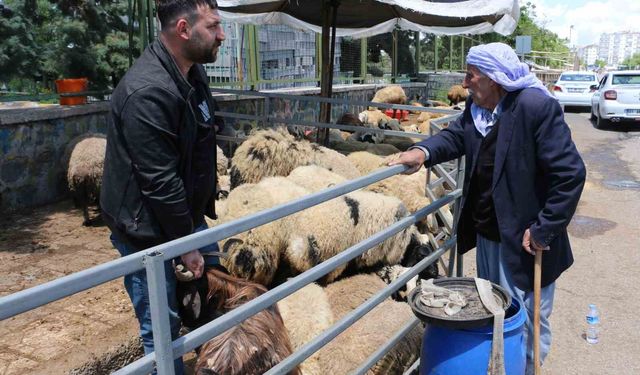 Kurban pazarında sessizlik: Satıcılar son günleri bekliyor