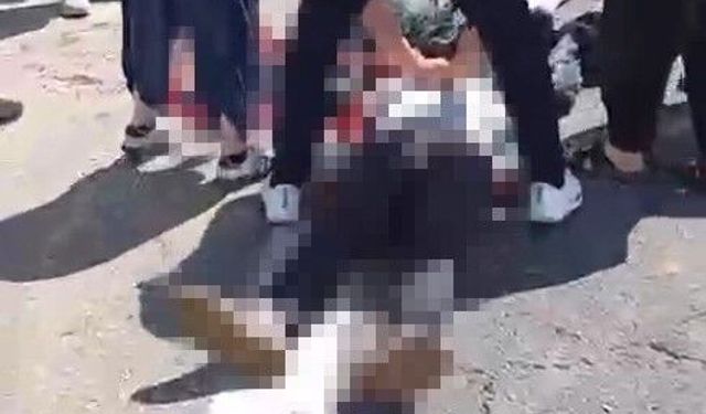 Kurbanlık yüklü kamyonet devrildi: 1 ölü, 1 yaralı