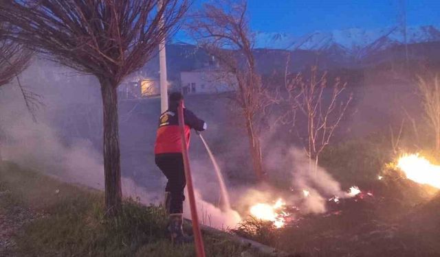 Van'da sazlık yangını