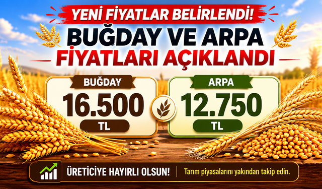 Buğday ve Arpa Taban Fiyatına Tepki Gösterildi