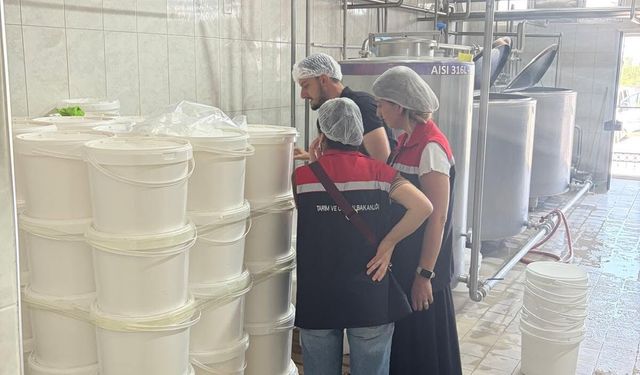 Iğdır'da İl Genelinde Denetim Faaliyetleri Aralıksız Sürdürülüyor