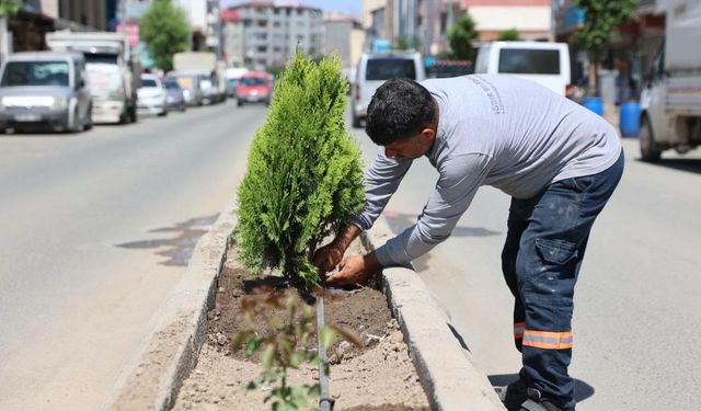 Iğdır Belediyesi Park ve Bahçelere Damlama Sulama Hattı Çekiyor