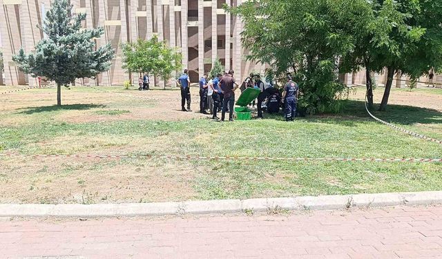 Bir genç parkta ölü bulundu