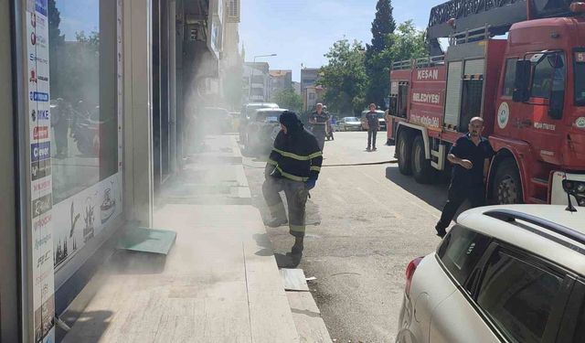 Bodrum katta çıkan yangında 4 kedi son anda kurtarıldı
