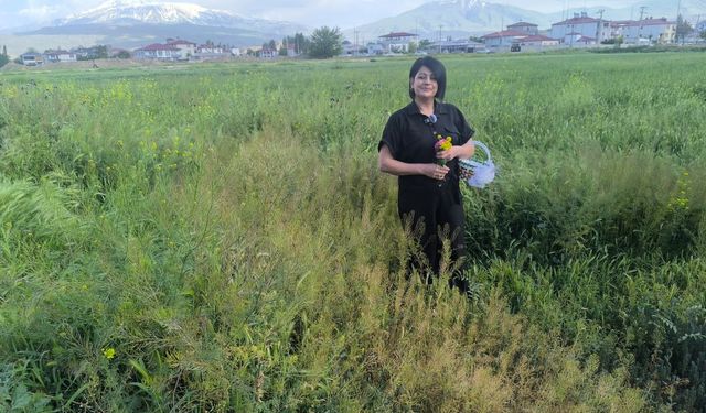 Almanya’dan Ata Topraklarına Dönüş: Iğdır’da Doğayla İç İçe Huzurlu Bir Yaşam