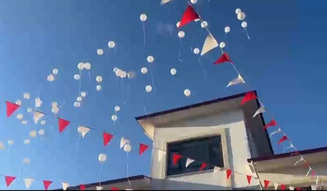 IĞDIR'DA GİZEMLİ IŞIK UÇAN BALON ÇIKTI