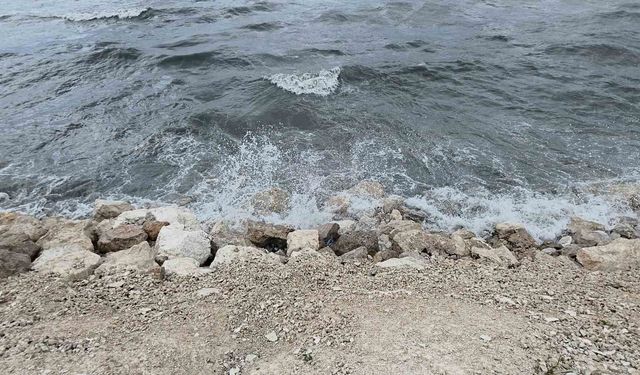 Dalgalar Van Gölü sahilini dövdü