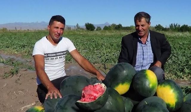 Iğdır'da Erken Hasat Heyecanı: İlk Karpuzlar 29 Haziran'da Tüketiciyle Buluşuyor