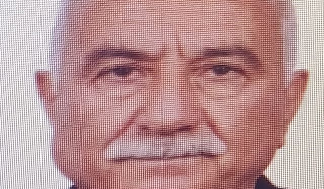 Tarlaya yıldırım düştü: 1 yaralı