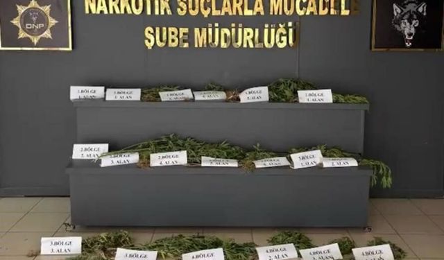 UNESCO Dünya Mirası Listesi'ndeki Hevsel Bahçeleri'nde uyuşturucu ele geçirildi