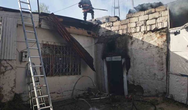 Van'da odunluk yangını