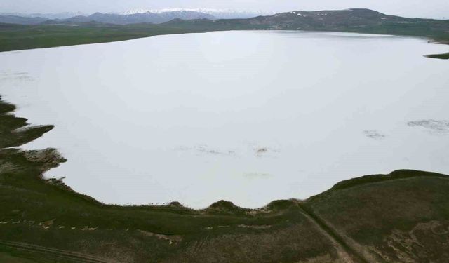 Van'ın kuş cenneti Akgöl misafirlerini bekliyor