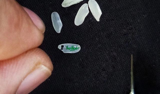 Yeşil Iğdır Pirinç Tanesinde